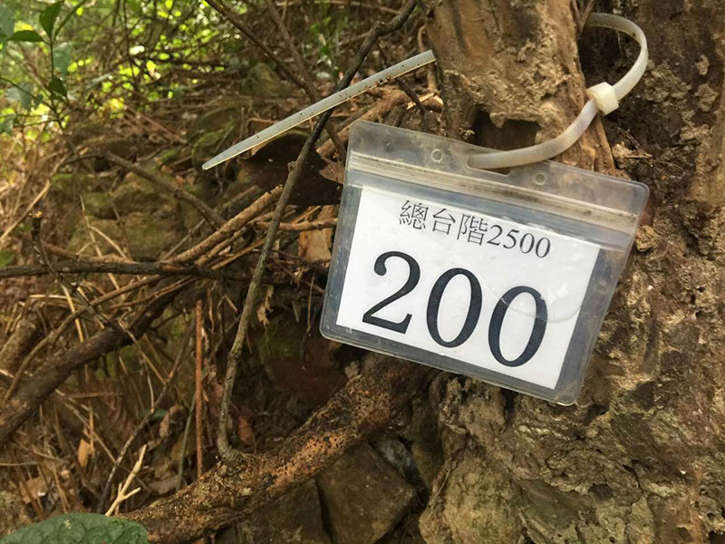 佳永“毅路有你，温暖相伴”徒步活动