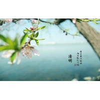 2019年南部佳永清明节放假通知