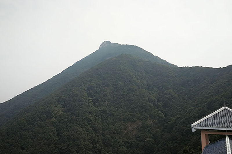 12-1F321155Z8.jpg