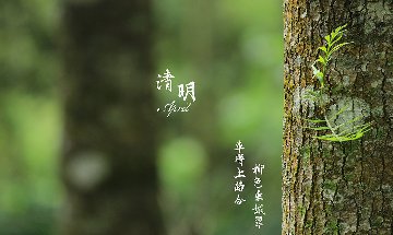 南部佳永2023年清明节放假通知